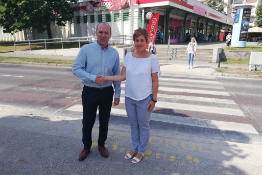 Okoszebra Veszprém